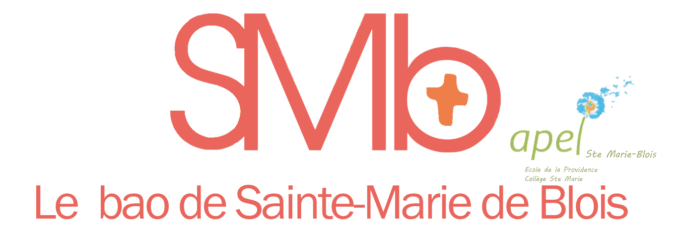 BAO Sainte Marie de Blois